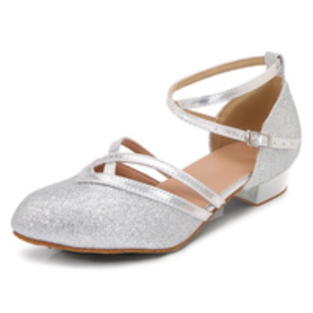 Silver Ballroom Dance Shoes